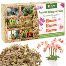 Riare Natural Dried Plant Moss for Potted Plants Artificial Fake Moss for Repotting Soft Green Decorative Moss for Succulents Reptiles DIY Crafts