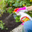 Weedol Weedol Rapid Weedkiller Ready To Use 1L 4