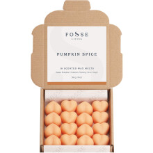 Pumpkin Spice Strong Scented Wax Melts 16 Pack Autumn Themed Gift Idea – Handmade in The UK – This product is designed with premium quality and