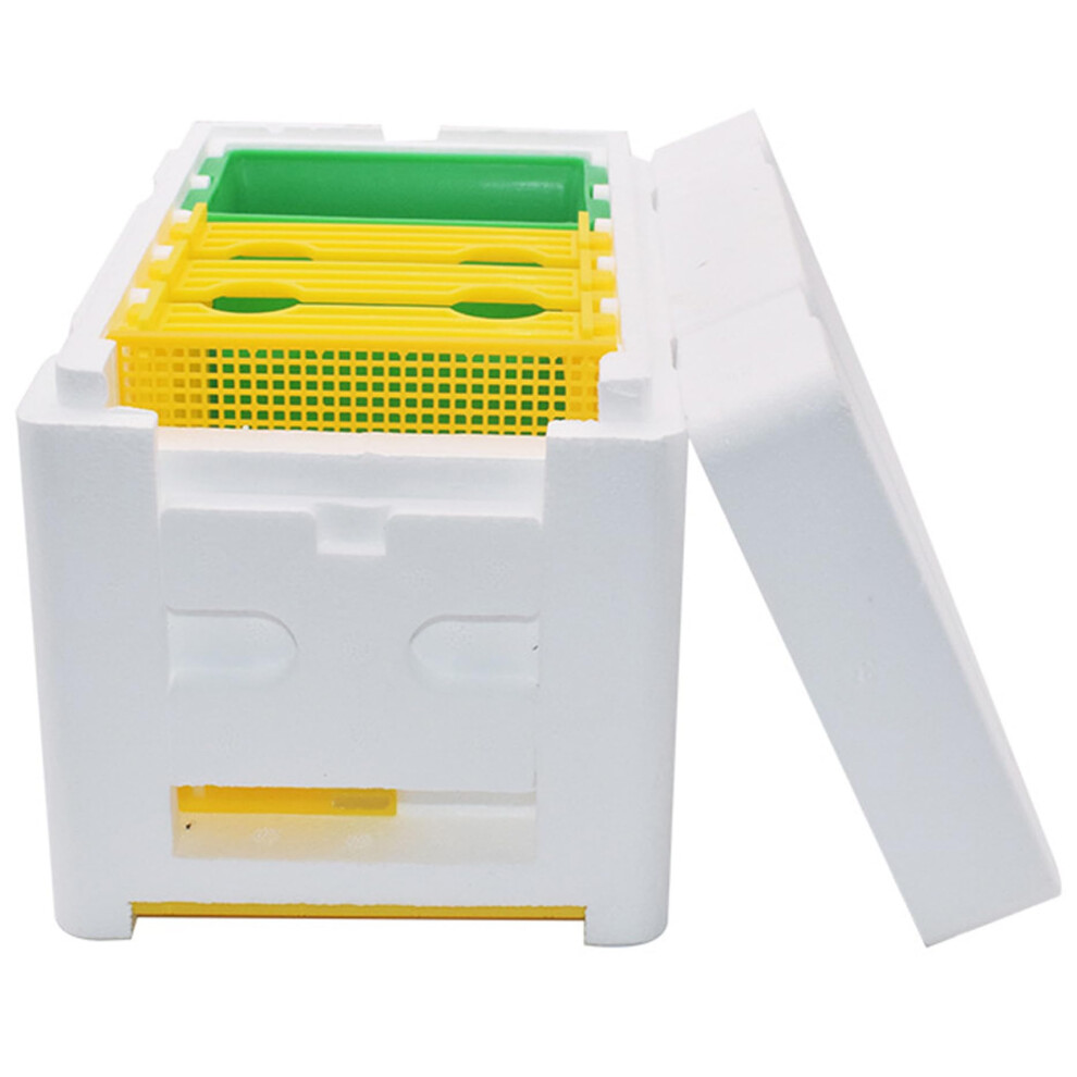 Bee Box, Beekeeping Box with Water Food, 3 Frame Mini Foam Nukbox, Grid Door, Style 2 for Honey Bees-image-OPC-PK6V5X7-NEW