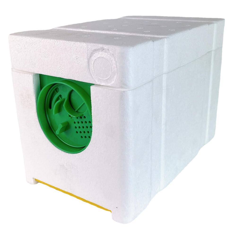 Bee Box, 4 Frame Bee Hive Box with Water Feeders, Mini Foam Nukbox for Mating and Rearing Bees, Durable Beehive Supplies Type 1-image-OPC-PK6V5YB-NEW