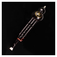 Professional Hulusi Harz-Kürbisflöte Bb Key C Klappe B-Dur Double Tone Beginner Instrument with Case Color 02