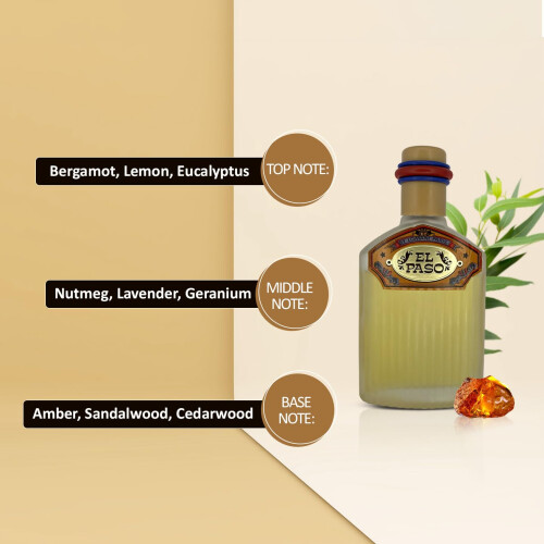Lomani El Paso Eau de Toilette Spray per uomini 3,3 once 2
