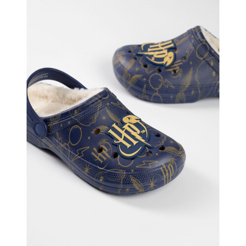 Harry Potter (3 UK) Harry Potter Clogs (Womens Blue) 1