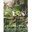 Succulent Watering Bottle Plastic Transparent 13