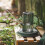 Succulent Watering Bottle Plastic Transparent 8