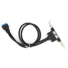 Dual USB-Abdeckkabel 50cm für Motherboard-Rückseite Schwarz