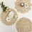 Placemats Multipurpose Thickened Exquisite 9