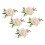 5PCS Wedding Boutonniere Pin Fixed Plastic 8