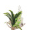 5PCS Wedding Boutonniere Pin Fixed Plastic 14