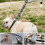 (Medium 3 M, Silver) Simulation Iron Chain for Dog Tractions Multifunctional Thick Rope Leash Harness Dogs Accessories 5