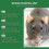 (1pc) Rat & Mouse Repellent Spray - 250ml Fast Acting Safe Around Petsp 2