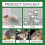 (3pcs) Rat & Mouse Repellent Spray - 250ml Fast Acting Safe Around Petsp 4
