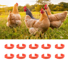 Verstellbare Geflügelhalsbänder 01100 Nummern für Hühner & Gänse 100 Stück