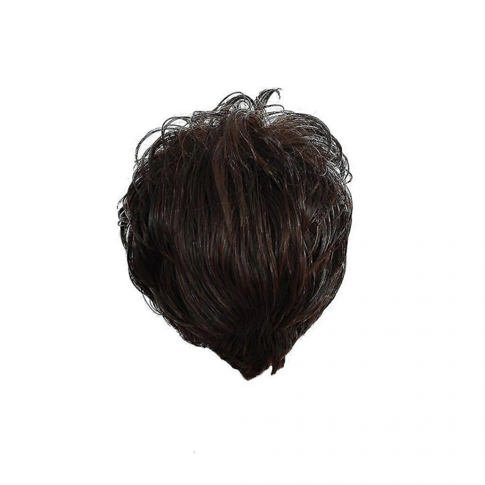 Unisex Black Fashion Brazilian Short Sexy Wig Front Wavy Women Curly Synthetic Wigs
