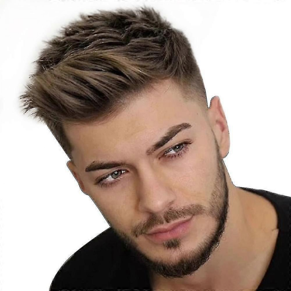 Handsome Men Short Straight Hair Wig - Daily Full Wigs For Males