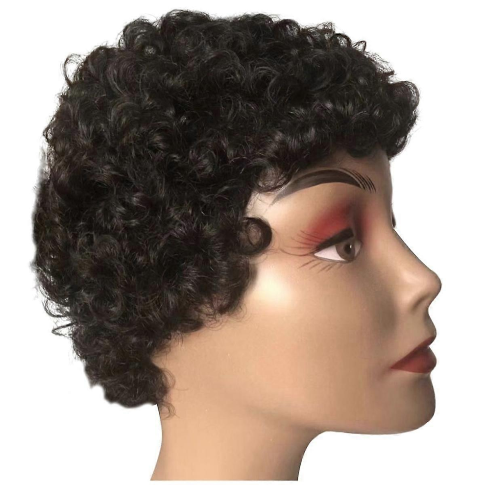 Cut Short Curly Wig for Women Brazilian Hiar Wig Afro Curl Short Human Wig