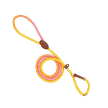 Dog Leash | Durable Nylon Long Leash with Shock Absorption | Pet Walking, Shopping, Hiking, Camping Accessory for Small to Medium Dogs