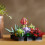 771PCS Succulent Plant Building Blocks Creative 5