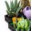 771PCS Succulent Plant Building Blocks Creative 7