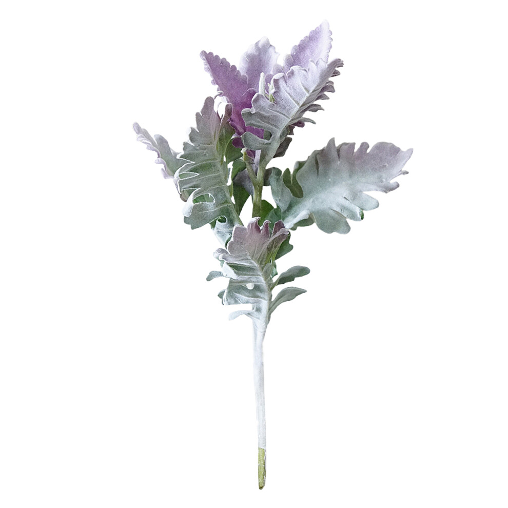 Simulation Flocking Silver Leaf Chrysanthemum