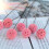 Billy Ball Flowers Dried Flowers Artificial Dried 3