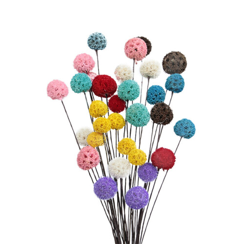 Billy Ball Flowers Dried Flowers Artificial Dried 1