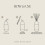 Sweet Water Decor Christmas Reed Diffuser Set - Christmas Scented Reed Diffuser w/Fresh Cut Trees and Orange Scent - Reed Diffusers for Home with 5