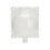 10PCS Plant Rooting Propagator Ball Transparent 9