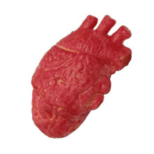 Lifelike Human Heart Model Anti Stress Toy Anxiety