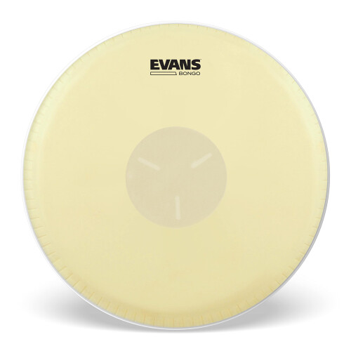 Testa bongo Evans Tri-Center da 8-5/8 pollici