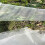 (60 Mesh 2.5x5M)Plant Vegetables Insect Protection Net 60 Mesh Multiple Specifications Garden Fruit 4