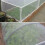 (60 Mesh 2.5x5M)Plant Vegetables Insect Protection Net 60 Mesh Multiple Specifications Garden Fruit 3