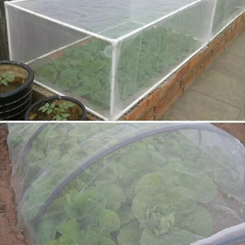 (60 Mesh 2.5x5M)Plant Vegetables Insect Protection Net 60 Mesh Multiple Specifications Garden Fruit 2