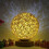 LED Bedside Lamp - KING - Handwoven Shade - Solid Wood - Energy Saving - Contemporary Style 4