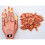OFELI Hand training Nail art - 100 unghie 2