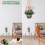 RIFNY Macrame Plant Hanger para vasos de plantas de 5 a 10 polegadas Kits de cabide de corda tecida de 35 polegadas com ganchos e contas de madei 5