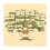 Family Tree Chart 6 Generations Family Tree Chart 1