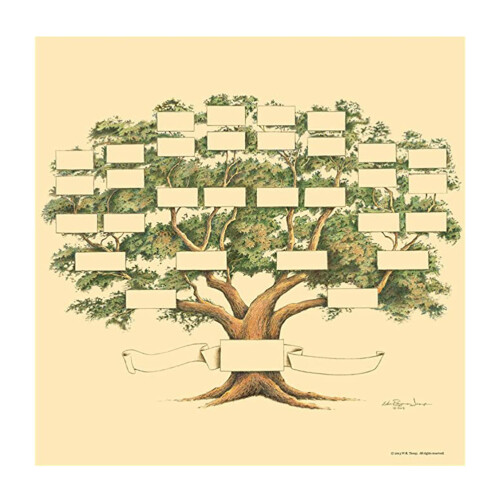 Family Tree Chart 6 Generations Family Tree Chart