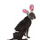 Midlee Easter Bunny Grey & Pink Rabbit ?rer til store hunde Pandeb?nd med hale 5