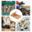 Austernöffner, Muschelschäler, Austernzange, Handmuschelschäler 7