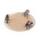 Round Transparent Acrylic Tray Heating and Cooling 4