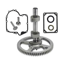 84005207 793880 Camshaft Replacement Kit - for Brigg & Stratton 793583 792681 791942 795102 Brigg