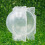 10PCS Plant Rooting Propagator Ball Transparent 10
