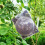10PCS Plant Rooting Propagator Ball Transparent 11