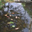 Pond Net Cover Tightly Woven Prevent Fish Jumping 5