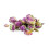 Essbare Blumen Bio Roseknospen 30g 1