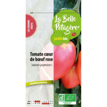 Tomate coração de boi rosa 0,12 g