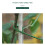 Spliced Flower Stand 11mm Tower Type Flower Stand 14