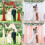 Wedding Arch Chiffon Fabric Drapery Wedding 2